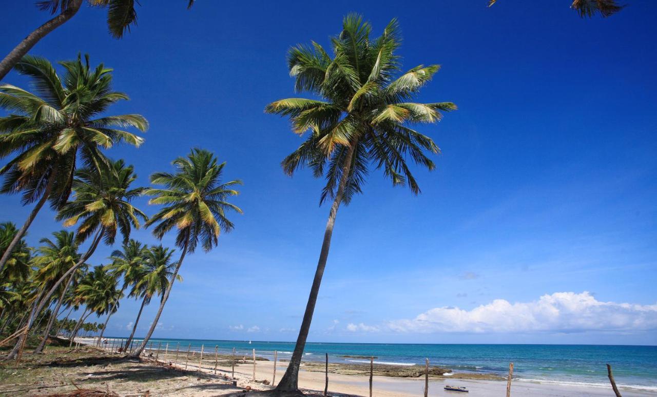 Flat Super Luxo Carneiros Beach Resort Tamandaré Zewnętrze zdjęcie